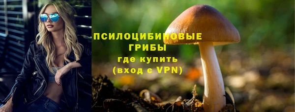 ALPHA PVP Вяземский