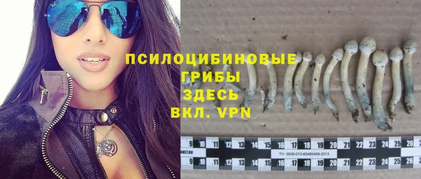 гидропоника Володарск
